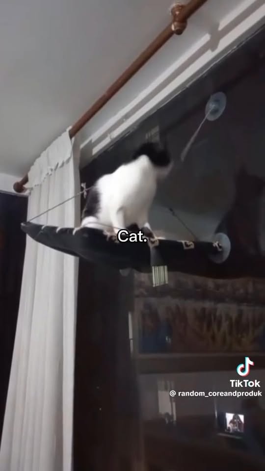 [☕️🇻🇳] Bắc Việt Coffee 🥤 Top1Coffee ☕️ Chưa từng có tại Bắc Việt Coffee, livestream trực tiếp, chơi mini game nhận quà hấp dẫn.
Chia sẻ về các món ngon của Hải Phòng,  , shares-9✔️ , likes-24❤️️ , date-2025-05-23 15:07:56🇻🇳🇻🇳🇻🇳📰🆕