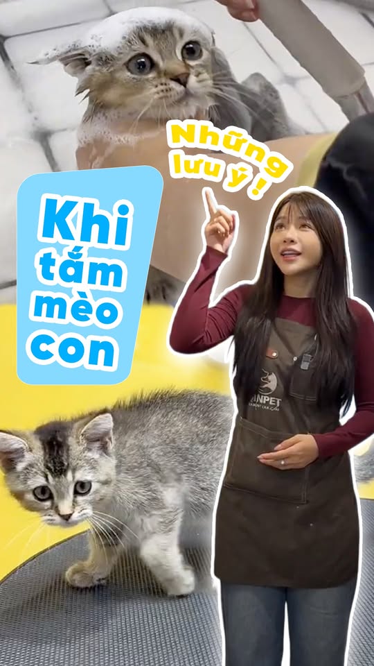 [🆕🇻🇳] Nhà Heoya – Nhà Heoya chuyên nhập khẩu, buôn bán sỉ lẻ các mặt hàng từ Hàn Quốc cho trẻ em 🧑‍🧒❤️️👶⭐️ Khi làn da non nớt của bé yêu gặp phải các vấn đề như khô nẻ, hăm tã, mẩn đỏ hay kích ứng, mẹ đừng quá lo lắng! APPLECRUMBY – thương hiệu chăm sóc trẻ em c , shares-0✔️ , likes-1❤️️ , date-2026-01-12 19:28:13🇻🇳🇻🇳🇻🇳📰🆕