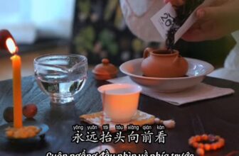 [🆕🇻🇳] Tiếng Trung mỗi ngày – Everyday Chinese – Chuyên luyện thi HSK&HSKK mọi cấp độ 📚 Top1Learn 📕 08.01.26  Tôi vẫn luôn tin vào câu nói: Mọi thứ đều là sự sắp đặt tốt nhất.
—
Giọng đọc: Tiểu Ngọc laoshi – Tiếng Trung Mỗi Ngày
—
#radio #podcast #tie , shares-0✔️ , likes-25K❤️️ , date-2026-01-08 16:53:40🇻🇳🇻🇳🇻🇳📰🆕