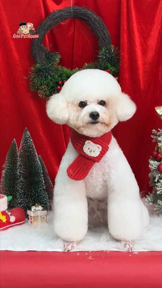 [🆕🇻🇳] Giày Như Mới 👕 Top1Fashion 👗  Tổng hợp các mẫu đang có sẵn tại shop
Bao real bao check trọn đời
Độ mới cao >90%

 Hotline: 0343608693

#giay2hand #2handreal #giaycu #giayhcm #giaycuhcm  , shares-3✔️ , likes-17❤️️ , date-2026-01-08 00:51:56🇻🇳🇻🇳🇻🇳📰🆕