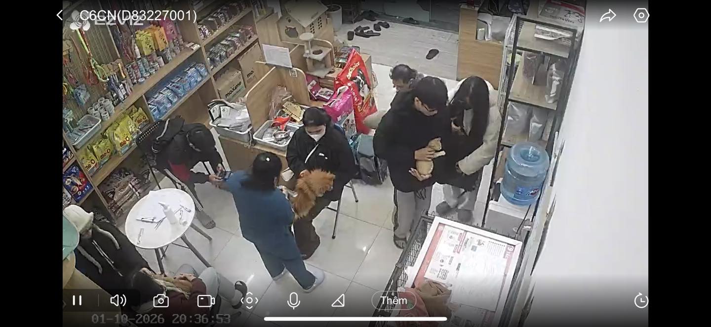 [🆕🇻🇳] Panda Korea – Thời trang trẻ em Hàn Quốc 🧑‍🧒❤️️👶⭐️ Nhả vía áo gia đình siêu đẹp cho các mom 
Cái set nỉ đẹp từ chất tới dáng không mất lòng ai 
Em nhận nốt chuyến cuối 
Các bác inbox em để nhận bảng size nh , shares-0✔️ , likes-0❤️️ , date-2026-01-09 22:05:49🇻🇳🇻🇳🇻🇳📰🆕