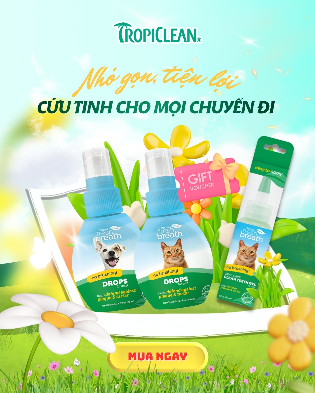[🆕🇻🇳] Điện thoại xách tay Hàn quốc Công Dung ♥️️ Top1Shop 🛍️  A336/5G, máy đẹp như mới, thiết kế đẹp, cấu hình cao 8gb/128gb, màn 120hz, 2 sim 2 sóng tiện lợi. Giá siêu rẻ luôn chỉ 3.89tr pk sạc,cáp ,tai. Bảo hành ful , shares-0✔️ , likes-3❤️️ , date-2026-01-11 15:24:51🇻🇳🇻🇳🇻🇳📰🆕