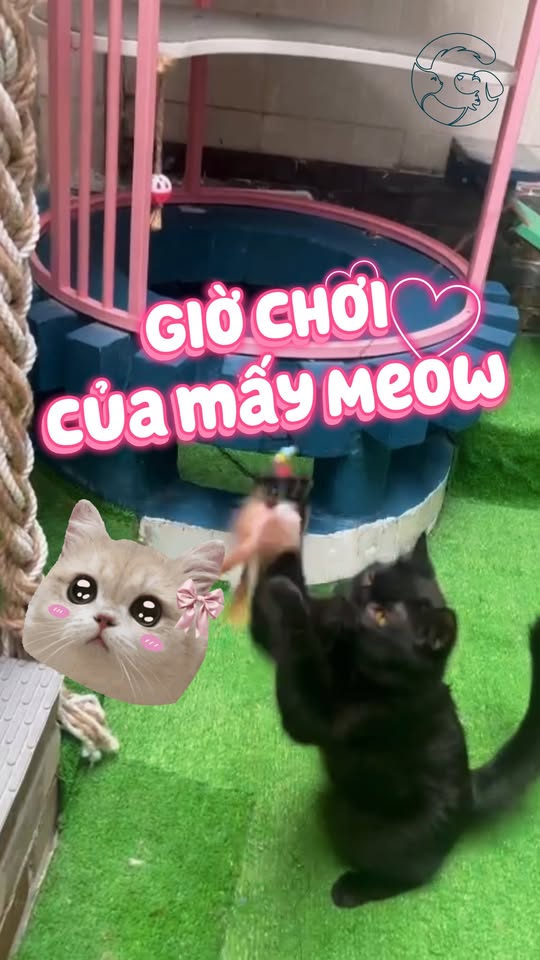 [🆕🇻🇳] Sosa Room – Sản phẩm ga, gối, mền, quây cũi và phụ kiện cho bé 🧑‍🧒❤️️👶⭐️ Cưng hết sức  , shares-0✔️ , likes-3❤️️ , date-2026-01-10 02:00:46🇻🇳🇻🇳🇻🇳📰🆕