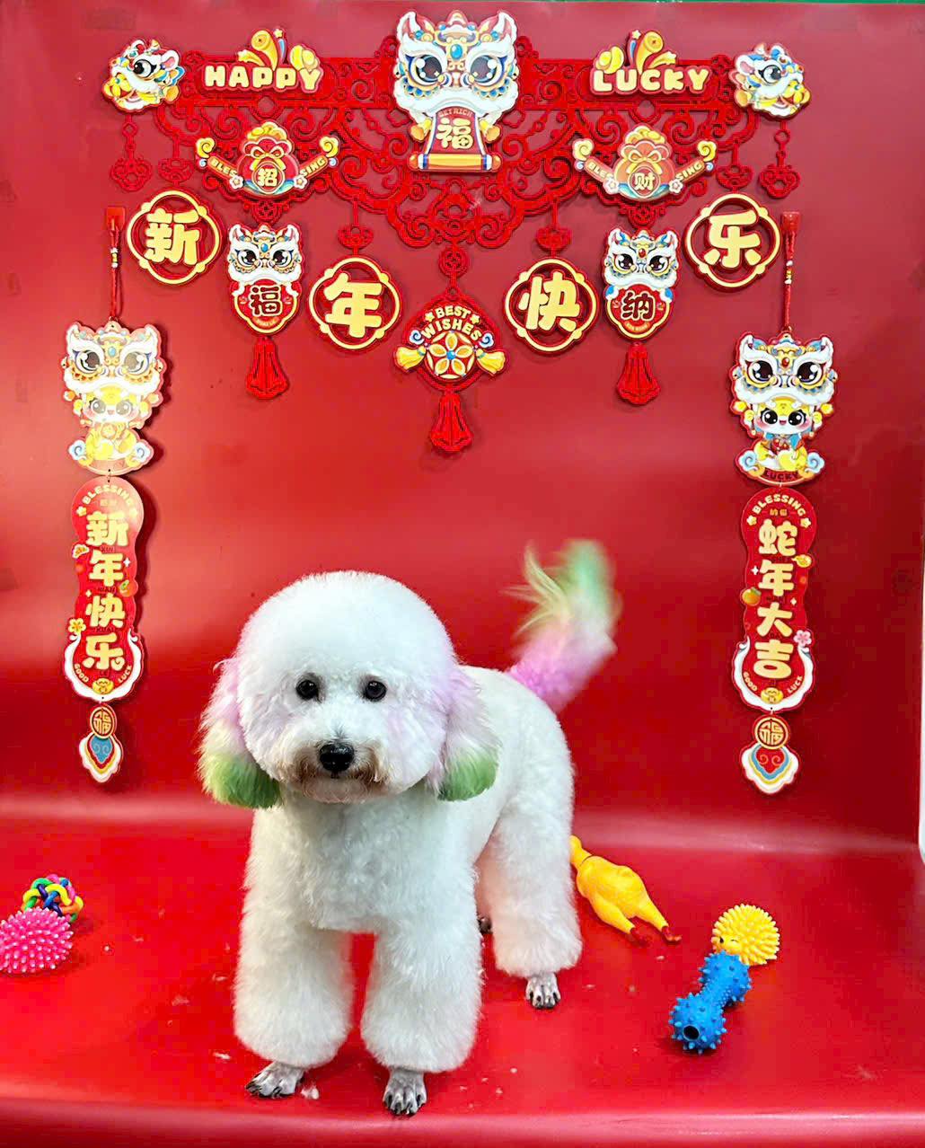 [🆕🇻🇳] Sukem Shop – Chuyên đồ sơ sinh mẹ và bé 🧑‍🧒❤️️👶⭐️ Xinh quá là xinh, em váy cân mọi outfit Tết này cho gái yêu

Zing ngay trước khi hết hàng ạ, kệ Tết của Sukem đã bắt đầu hết nhiều mã rùi ạaaaaa
 , shares-1✔️ , likes-1❤️️ , date-2026-01-11 15:52:06🇻🇳🇻🇳🇻🇳📰🆕