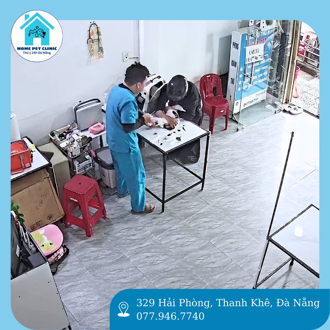 [🆕🇻🇳] Tesoro-Baby SHOP 😎❤️️⭐️ Thêu tay tơ tằm
 , shares-0✔️ , likes-0❤️️ , date-2026-01-11 19:27:26🇻🇳🇻🇳🇻🇳📰🆕