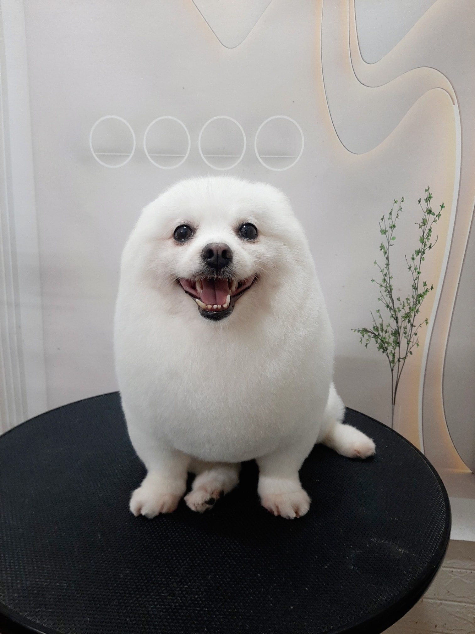 [🆕🇻🇳] Xách – Việt Nam – 𝐖𝐞 𝐃𝐞𝐬𝐢𝐠𝐧 𝐟𝐫𝐨𝐦 𝐈𝐧𝐧𝐨𝐯𝐚𝐭𝐢𝐨𝐧 [🆕Top1Vietnam🇻🇳] 👕 Top1Fashion 👗  Tết vui nhất là khi cùng nhau rạng rỡ.

Một chút đỏ cho khởi đầu may mắn, hay sắc đen huyền bí để nâng tầm phong cách.

 Ưu đãi màu tết : 
 Mua 1 tặng 1
 G , shares-0✔️ , likes-2❤️️ , date-2026-01-13 20:00:34🇻🇳🇻🇳🇻🇳📰🆕