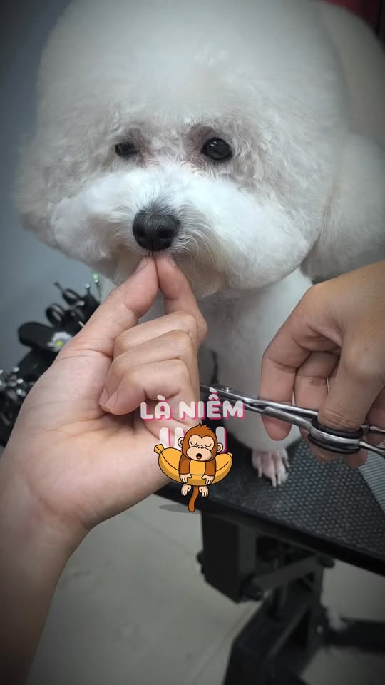 [🆕🇻🇳] BINSY – Mẹ và Em Bé – Chuyên thiết kế gấu dâu, hàng size đại  🧑‍🧒❤️️👶⭐️  , shares-0✔️ , likes-5❤️️ , date-2022-12-28 17:18:28🇻🇳🇻🇳🇻🇳📰🆕