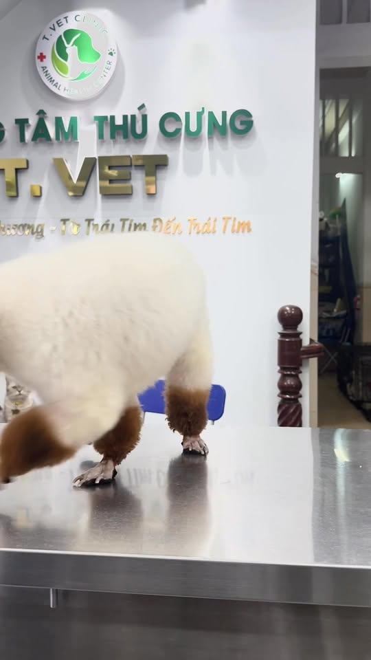 [🆕🇻🇳] Hệ thống Chip Chip Luxury – Thiên đường mua sắm Lớn nhất Đồng Nai 🧑‍🧒❤️️👶⭐️  S.A.L.E XUÂN NGẬP TRÀN với sữa chua Bledina chỉ từ 59K 

 Sữa chua mềm mịn – vị trái cây dịu nhẹ, bé ăn là mê
 Thương hiệu uy tín, nhiều ba mẹ tin dùng
 Ư , shares-1✔️ , likes-3❤️️ , date-2026-01-13 17:00:01🇻🇳🇻🇳🇻🇳📰🆕