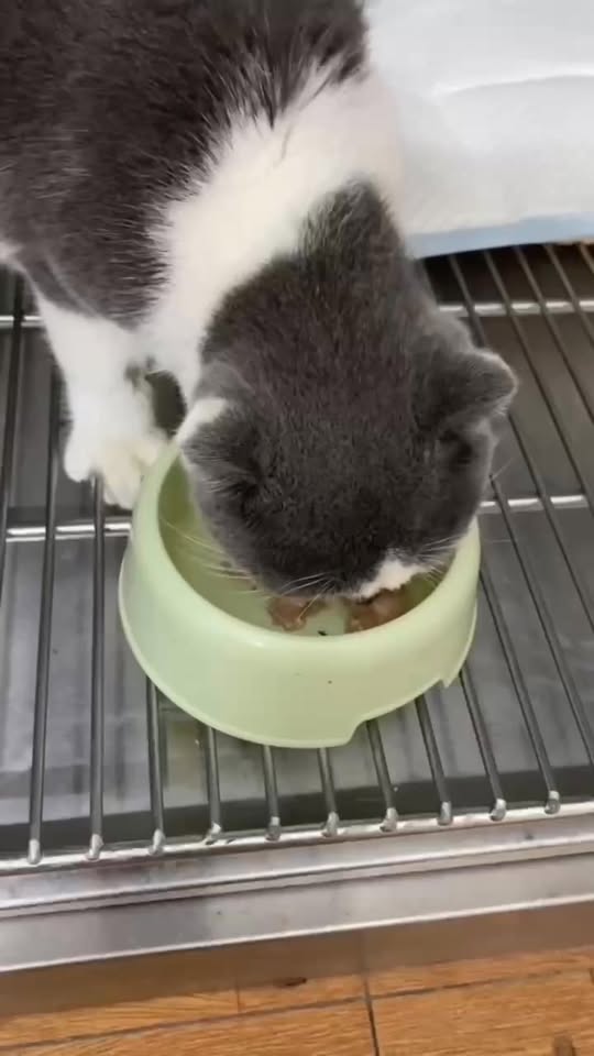 [🆕🇻🇳] 𝗧𝗜𝗡𝗧𝗜𝗡𝗞𝗜𝗗𝗦 🍂 V i n t a g e • C lo t h i n g & M o r e • 🍂  🧑‍🧒❤️️👶⭐️ Những bạn manocanh xinh đẹp dưới thời tiết thiệt đẹp . . .
Các Mẹ ghé “𝑵𝒉𝒂̀ 𝑻𝒊𝒏” sắm tết tiếp nào!
Các Mẹ ở xa đợi đi xong đơn live em lại lên livetreams c , shares-1✔️ , likes-72❤️️ , date-2026-01-13 23:43:16🇻🇳🇻🇳🇻🇳📰🆕