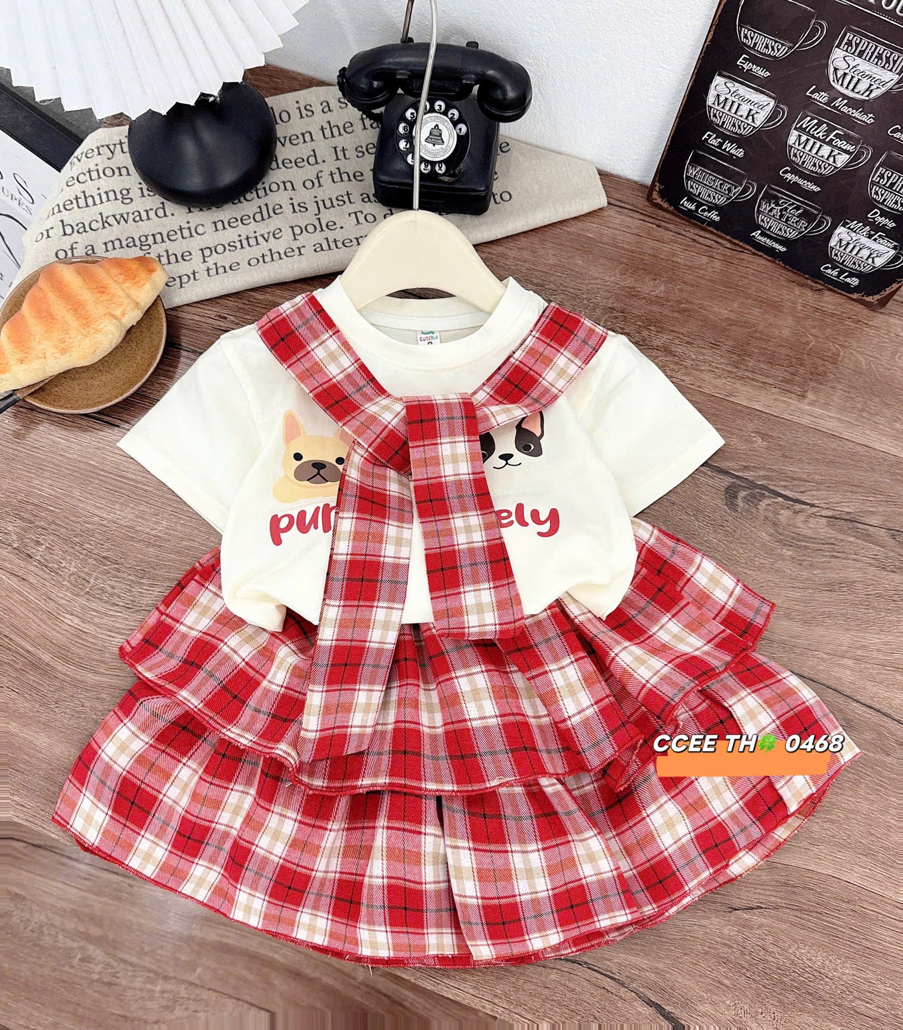 We Built a Robot to Clean Our Whiteboard [🤖🇻🇳]