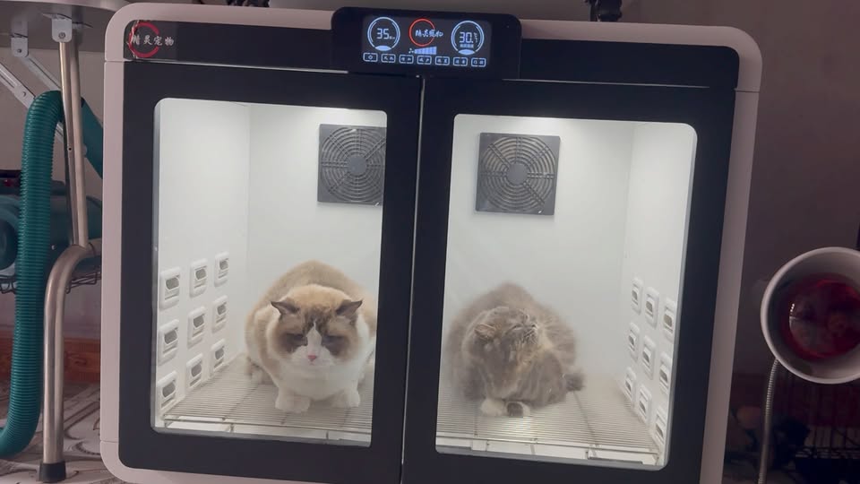 [🆕🇻🇳] Kim Linh Store – Quần áo – Thương hiệu [🆕Top1Vietnam🇻🇳] 👕 Top1Fashion 👗  Vừa ấm vừa đẹp í  #xuhuongfb , shares-0✔️ , likes-97❤️️ , date-2026-01-15 01:10:02🇻🇳🇻🇳🇻🇳📰🆕