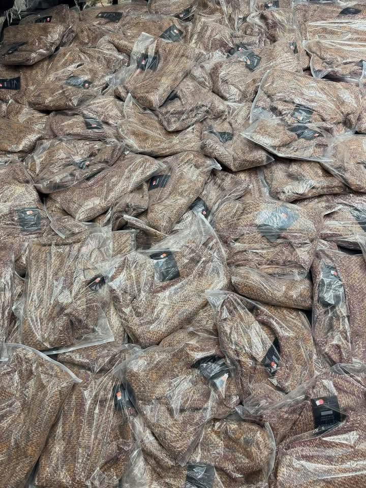 [🆕🇻🇳] Mr Kiệt -Hàng Hiệu Giá Sỉ – Chuyên sỉ – lẻ uy tín , chất lượng  [🆕Top1Vietnam🇻🇳] 👕 Top1Fashion 👗   Quần jean ống rộng 2 màu , tri ân 890 nha AE.  #mrkiet #jeans #denim #quanjean #quanjeannam , shares-0✔️ , likes-5❤️️ , date-2026-02-01 21:07:50🇻🇳🇻🇳🇻🇳📰🆕