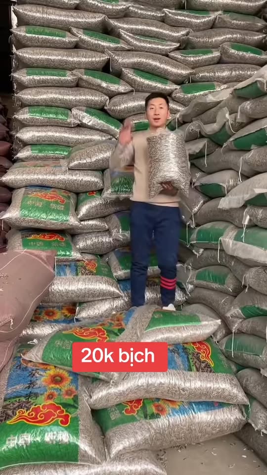 [🆕🇻🇳] Trang Mun – Cửa hàng tạp hóa [🆕Top1Vietnam🇻🇳] 👕 Top1Fashion 👗  #XẢ hướng dương giòn, thơm, bịch to , shares-0✔️ , likes-2❤️️ , date-2026-02-01 01:12:49🇻🇳🇻🇳🇻🇳📰🆕