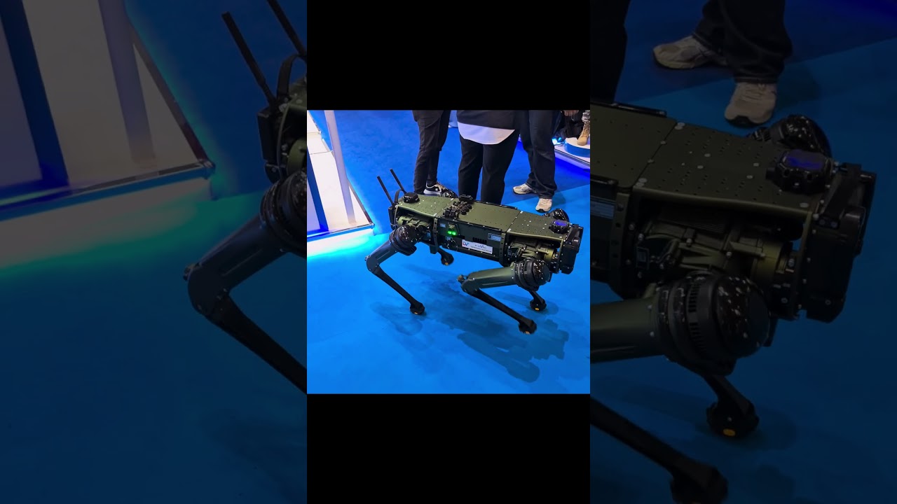 Robo dog (quadruped robot) [🤖]