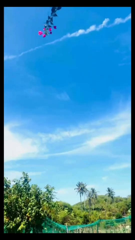[🆕🇻🇳] HÙNG HANDSTAND-Thăng Bằng Tay Là Dễ ⚽ Top1Sport ⛹️‍♂️ Giới hạn lớn nhất không nằm ở cơ thể. 
Nó nằm ở chính tâm trí bạn

Ngắm các siêu mẫu của HUNG HANDSTAND nha

====================================

Thông ti
