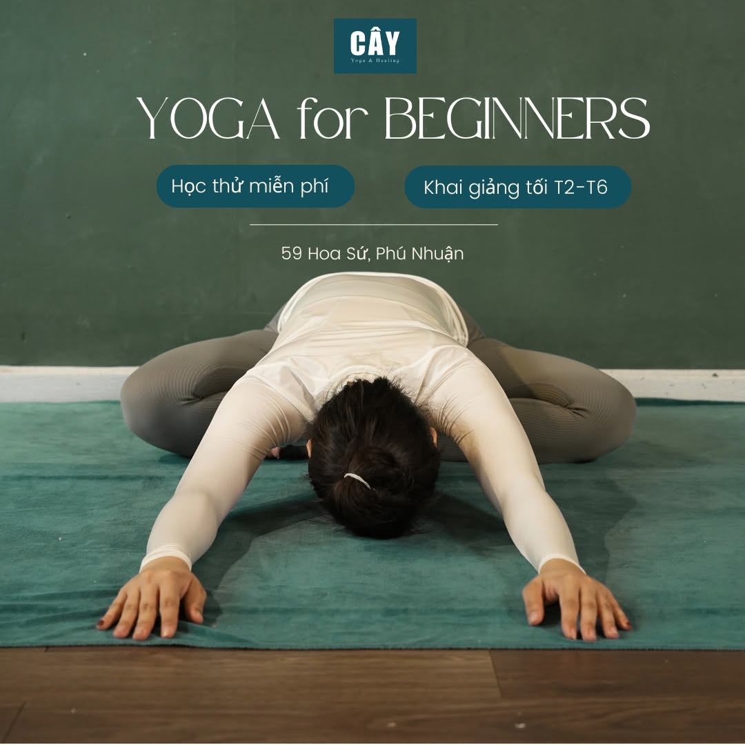 [???] CÂY – Yoga and Healing home  ? Top1Yoga ??‍♀️ LỊCH HỌC LỚP HỌC YOGA HÀNG TUẦN
Khai giảng hàng tuần

1/ LỚP CHUYÊN PHỤC HỒI – YOGA RESTORATIVE 
T3 – T5, từ 18:00 p.m – 19:30 p.m 
Cây mang đến cho bạn th , shares-0✔️ , likes-3❤️️ , date-2026-07-08 05:47:24????????